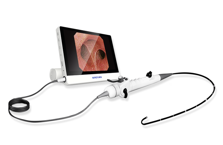 Vision Medical Endoscopy Products