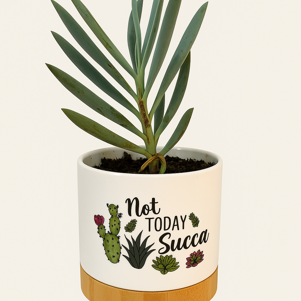 Sublimated Bamboo Base Customisable Pot Plant