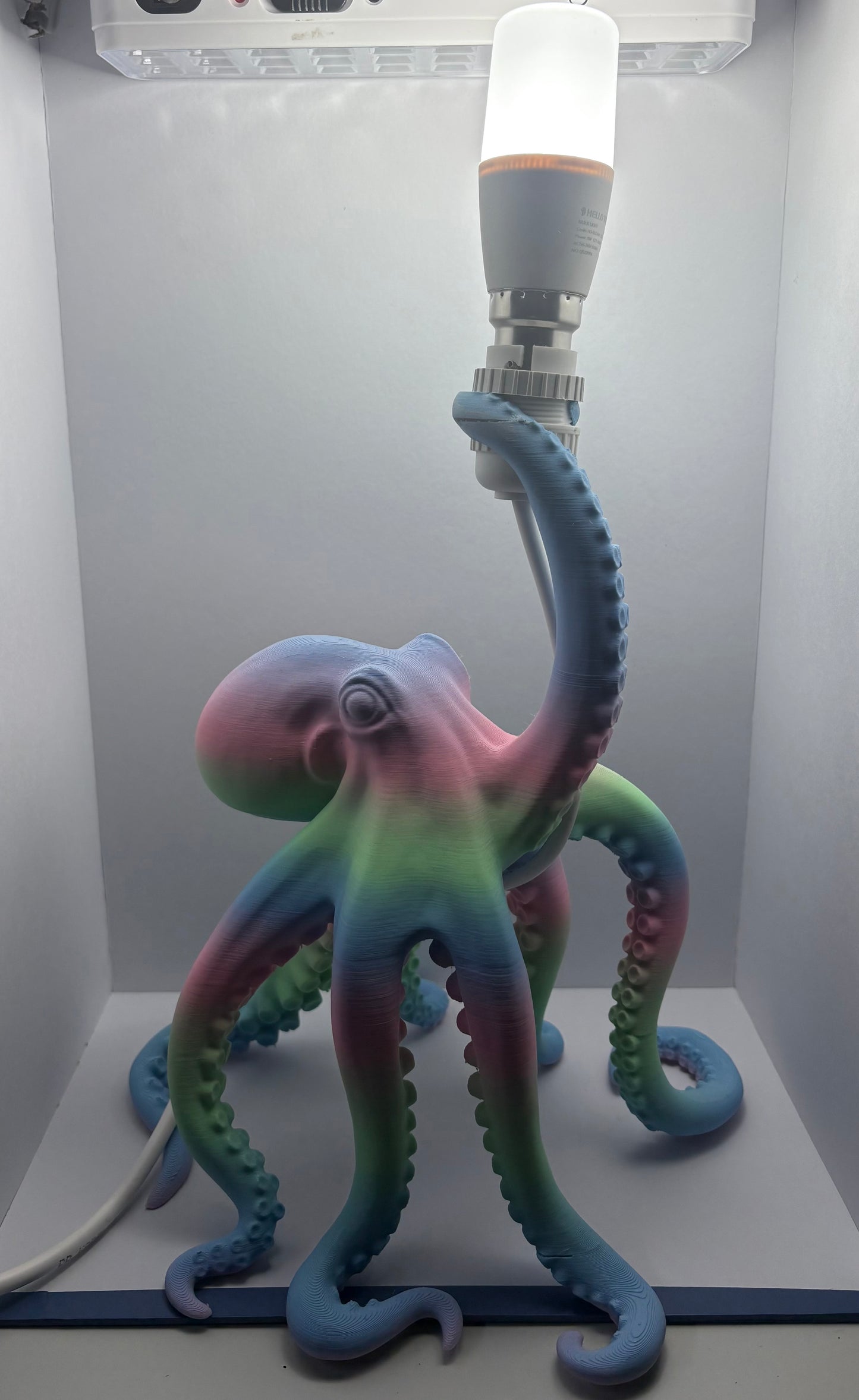 OctaNova 3d Printed Octopus LED Lamp